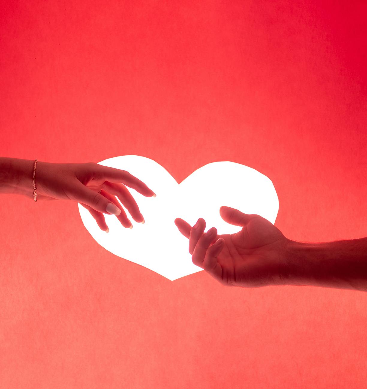 close up shot of human hands